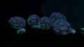 "Cave Coral" found in the Bone Fields Caves