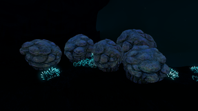 LRBF Coral Species 1.png