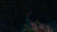 The entrance to one of the Dunes Caves