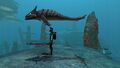 Size comparison with the player