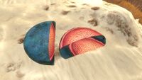 Fungal Samples on the seabed
