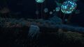 Deep Grand Reef (27).jpg
