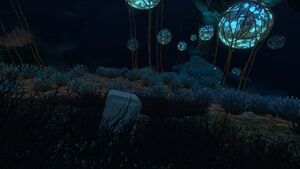 Deep Grand Reef (27).jpg