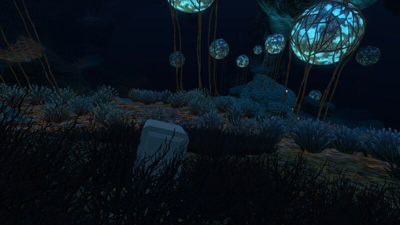 File:Deep Grand Reef (27).jpg