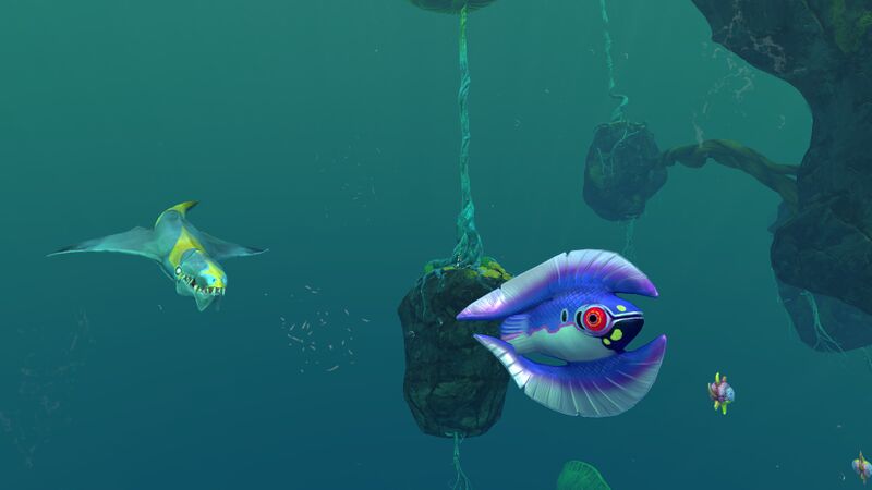 File:FeatherfishLI.jpg