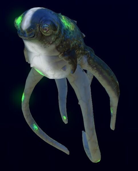 File:Infected Cutefish.jpg