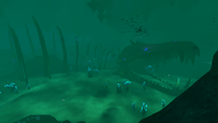 Lost RIver Infobox PIc.png