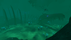 Lost RIver Infobox PIc.png
