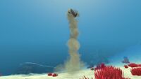 A Sand Shark emerging from the sand...