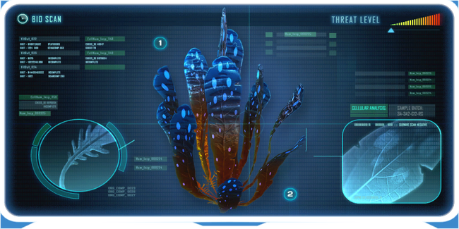 Spotted Dockleaf Data Bank Image.png