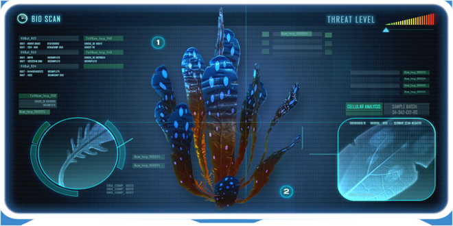 Spotted Dockleaf Data Bank Image.png