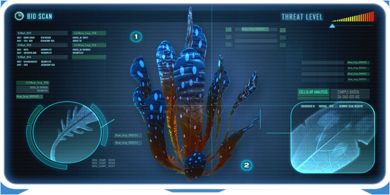 Spotted Dockleaf Data Bank Image.png