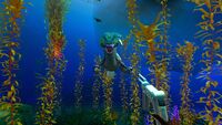 The Sea Monkey is trying to steal the Repair Tool