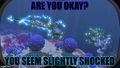 Thumbnail for version as of 08:19, 17 July 2016