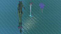 Size comparison between a Sea Dragon Leviathan, a Reaper Leviathan and a Reefback