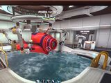 Cactormoonpool.jpeg