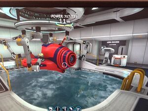 Cactormoonpool.jpeg