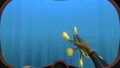 Hoverfish being held by the player