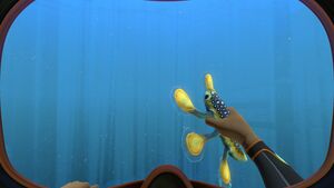 Hoverfish (4).jpg