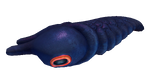 Lava Larva Fauna.png
