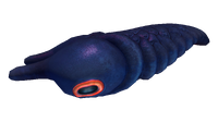 Lava Larva Fauna.png