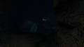 Thumbnail for version as of 18:50, 14 October 2020