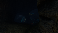A view inside the caves.