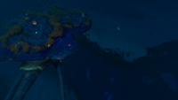 A Reefback above the Blood Kelp Trench