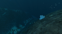 One of the many Large Resource Deposits