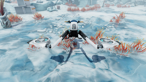Snowfox Front.png