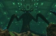The Sea Emperor Leviathan watching the player from a small mound in the Aquarium upon approaching the Incubator Device