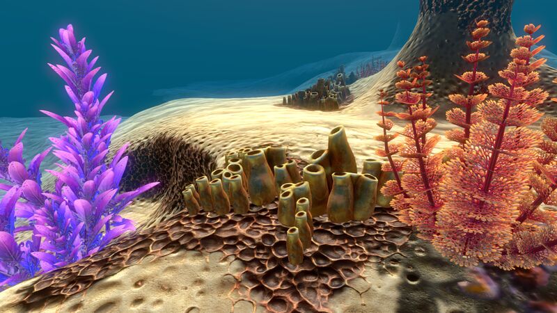 File:Big Underwater Islands (1).jpg