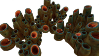 Brown Coral Tubes Fauna.png