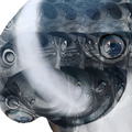 Thumbnail for version as of 18:30, 6 August 2021