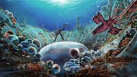 "Coral Zone" - by Pat Presley