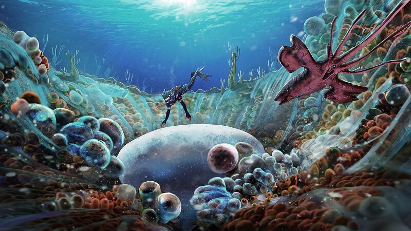 File:Pat-presley-coral-zone01-adjusted-lorz.jpg