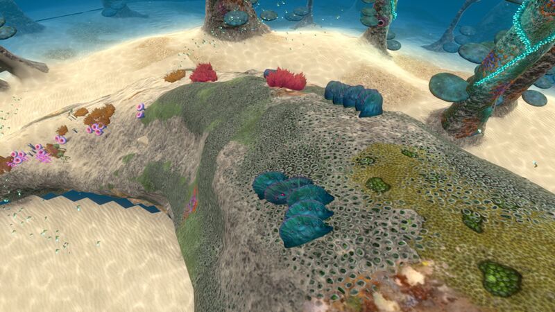 File:Table Coral (11).jpg