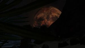 2016-02-10 00071.jpg