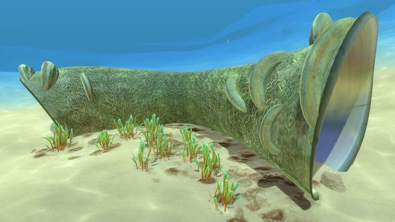 File:Coral Tube.jpg
