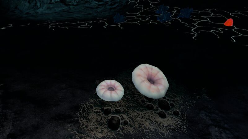 File:DeepSHroomNight.jpg