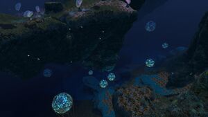 Deep Grand Reef (15).jpg