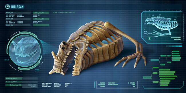 Fox3d-entertainment-seadragonskeleton.jpg