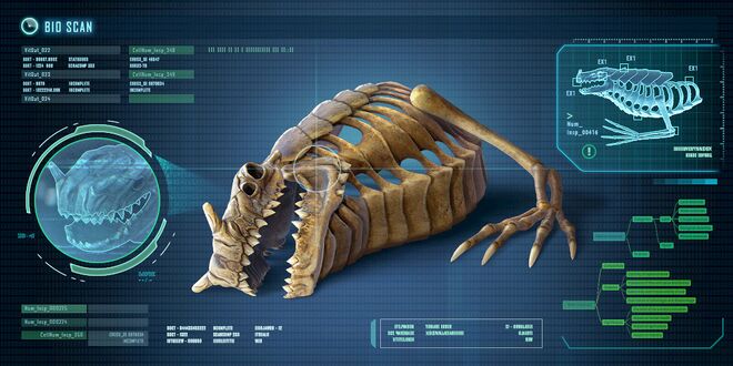 Fox3d-entertainment-seadragonskeleton.jpg