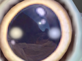 Thumbnail for version as of 00:33, 3 January 2017