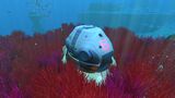 Lifepod6aa.jpg