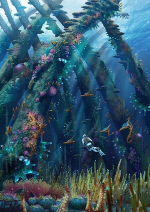 Pat-presley-coralreefzone-thecathedralgrove-lorez.jpg
