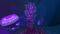 PurpleBranches01.jpg