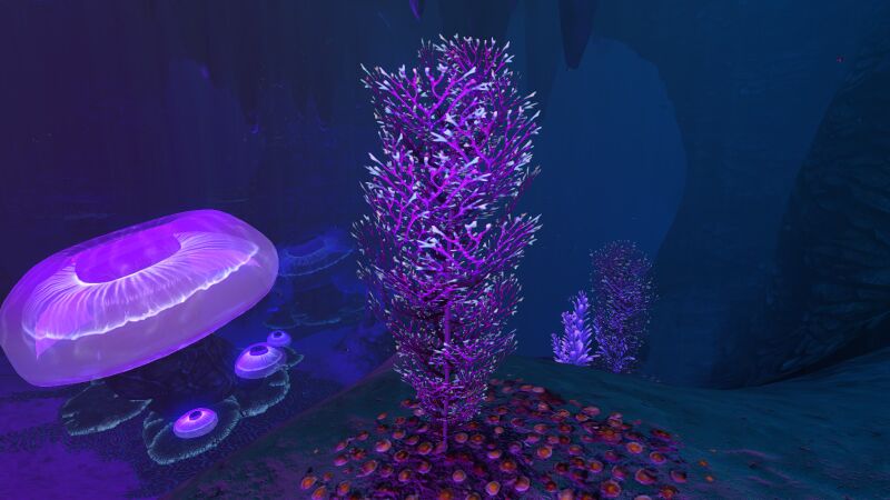 File:PurpleBranches01.jpg