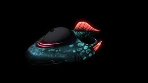 SpadefishD.jpg