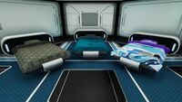 From left to right: Jeremiah's, Sam's, and Zeta's Beds